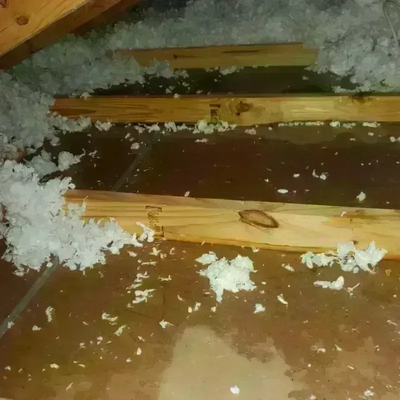 Attic Water Damage in Robinson, IL