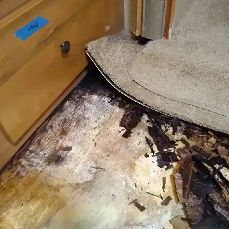 Wood Floor Water Damage in Robinson, IL